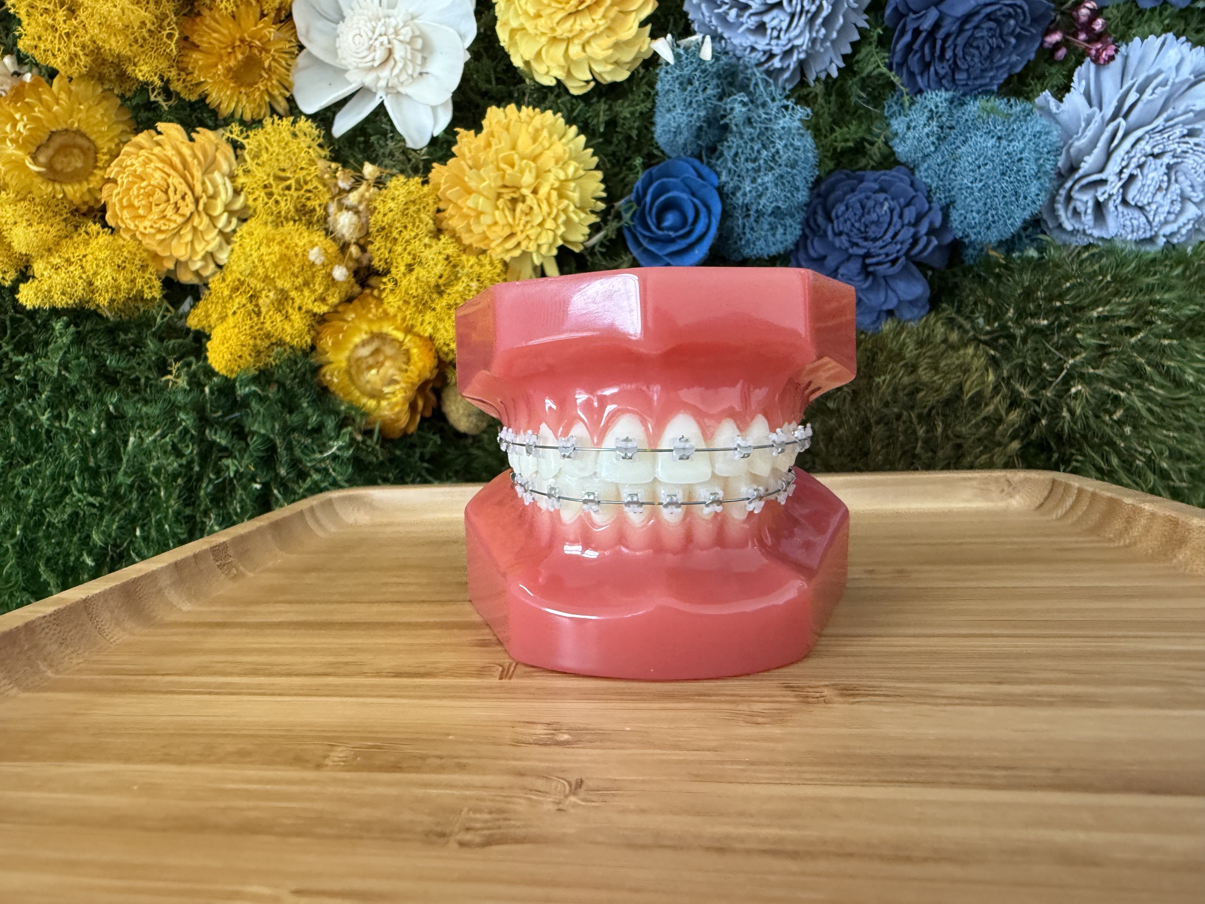 Martin Greenberg, DMD, MS, ceramic braces orthodontist at Bold Bite Orthodontics, Jacksonville