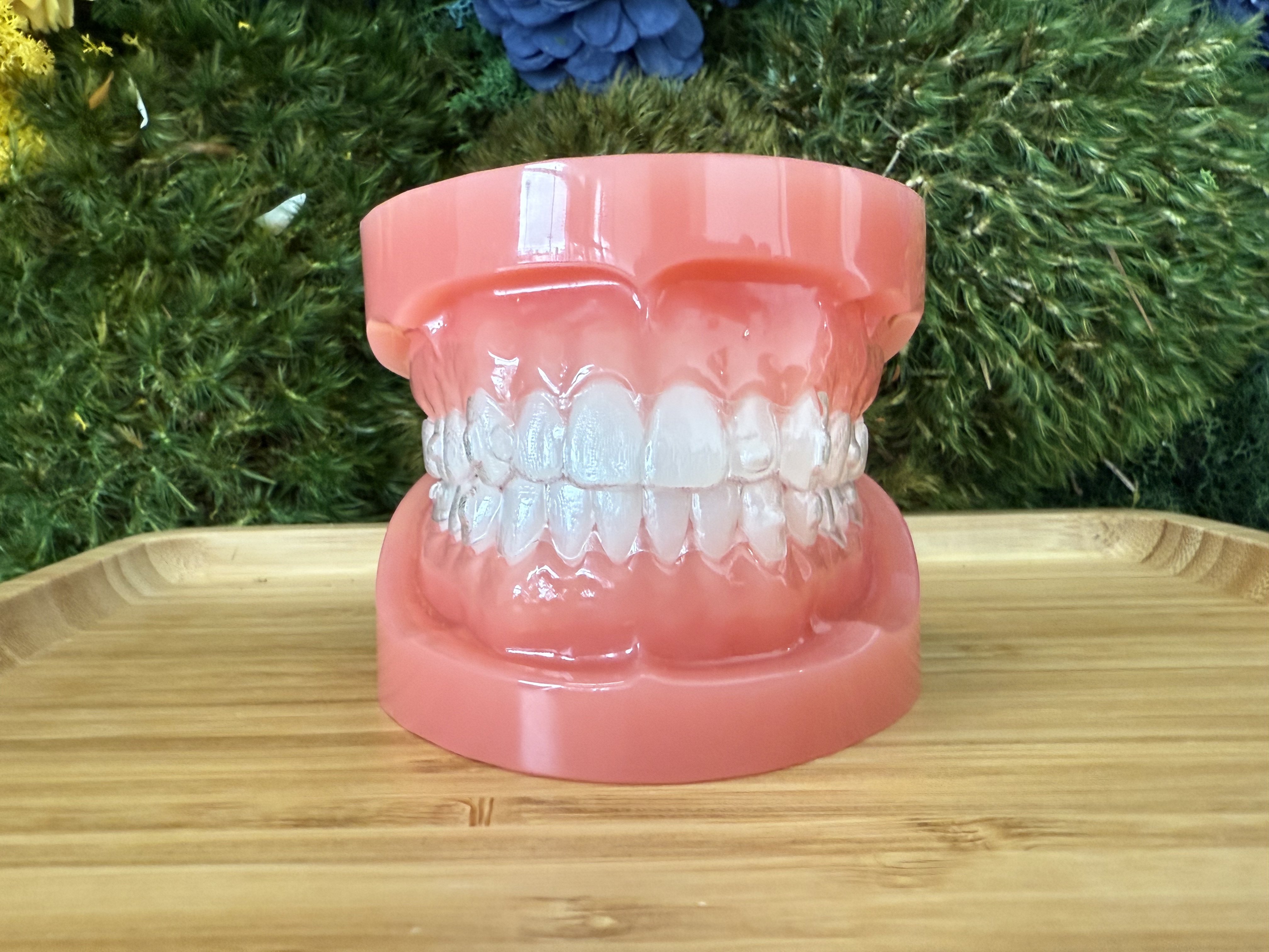 Invisalign patient at Bold Bite Orthodontics holding a clear aligner tray at consultation
